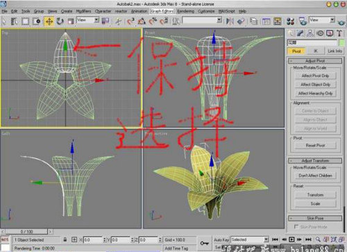 3Ds Max新手教程：制作漂亮的鮮花模型（圖十）