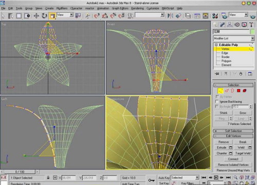 3Ds Max新手教程：制作漂亮的鮮花模型（圖十三）
