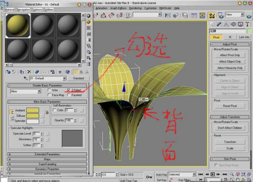 3Ds Max新手教程：制作漂亮的鮮花模型（圖十二）