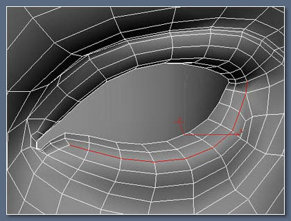 3DsMax教程：制作逼真美女眼睫毛的方法（圖二）