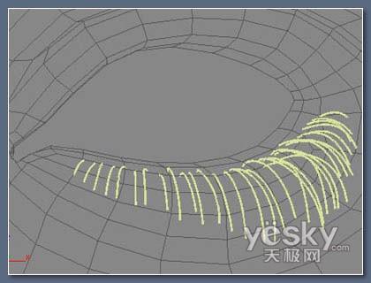 3DsMax教程：制作逼真美女眼睫毛的方法（圖十一）