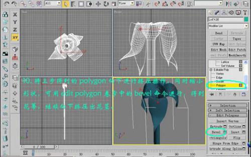 教你使用3DsMax打造情人節的漂亮玫瑰(3)