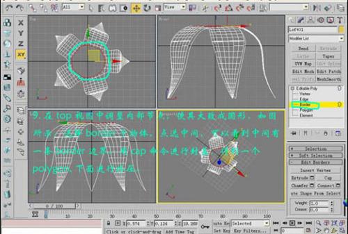 教你使用3DsMax打造情人節的漂亮玫瑰(3)