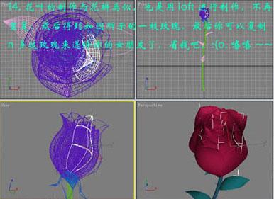 教你使用3DsMax打造情人節的漂亮玫瑰(4)