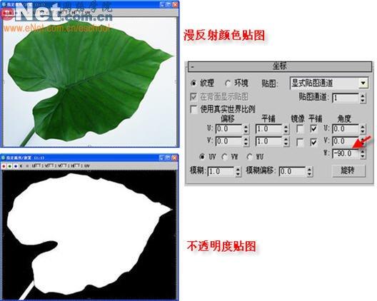 3DSMAX實例教程：兩大步制作紫色牽牛花(5)