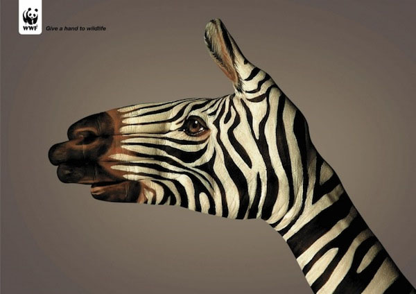 14個保護動物的公益廣告設計 三聯
