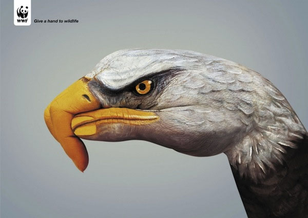 1 140GQ22027 14個保護動物的公益廣告設計