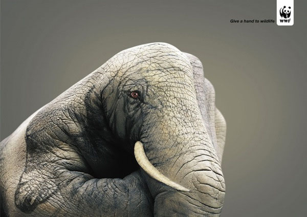 1 140GQ22031 14個保護動物的公益廣告設計