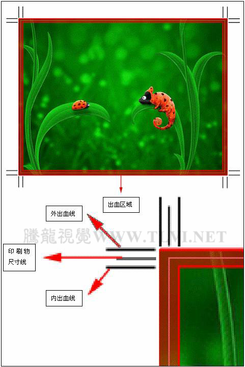 印刷初學者的必讀教程詳解出血線