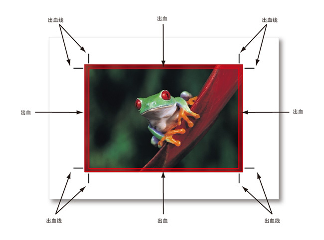 平面設計常用尺寸和出血設置大匯總  三聯