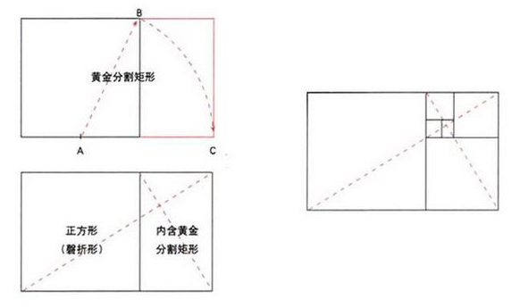 Kimberly Elam的幾何設計理論 三聯網 設計理論