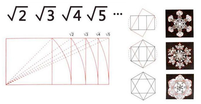 Kimberly Elam的幾何設計理論 三聯網 設計理論