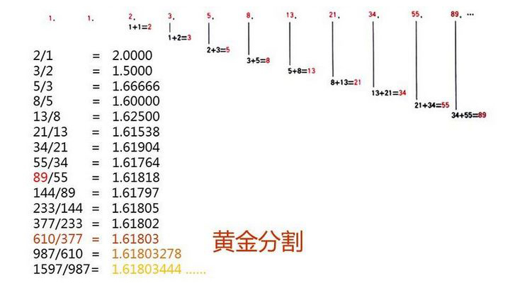 Kimberly Elam的幾何設計理論 三聯網 設計理論