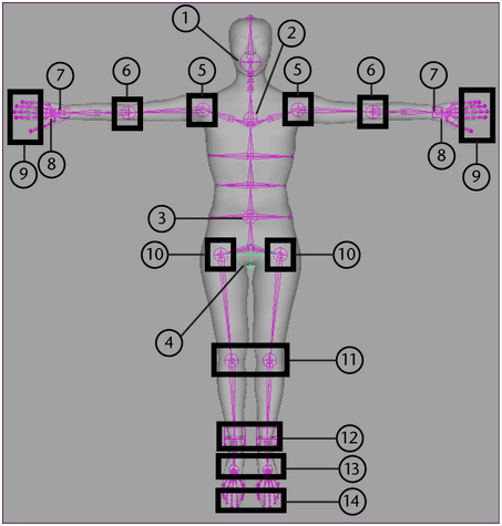 maya—fbik系統研究 腳本之家 maya動畫教程