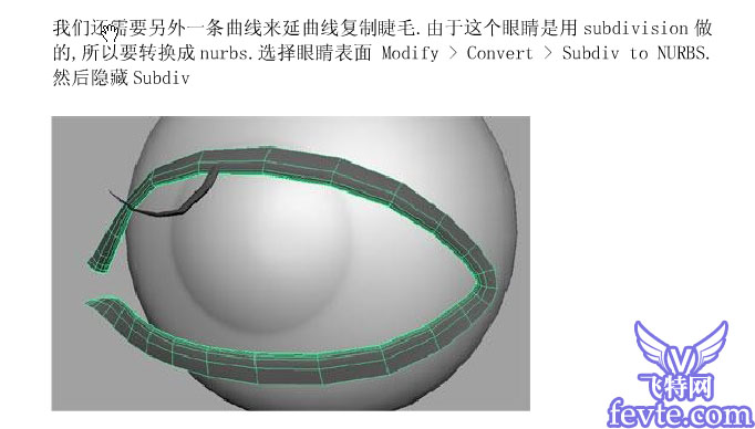 Maya制作眼睫毛,無思設計網wssj1.cn