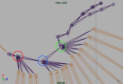 Maya制作鳥類翅膀骨骼設置及動畫