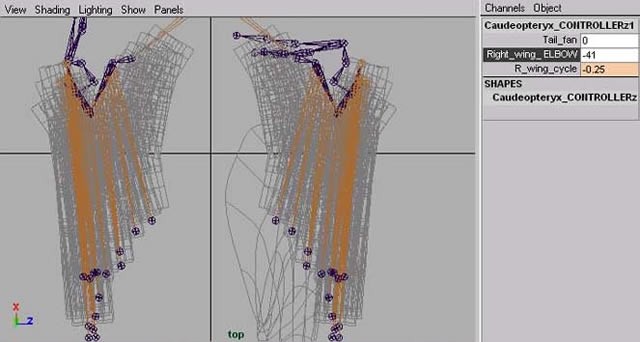 Maya制作鳥類翅膀骨骼設置及動畫