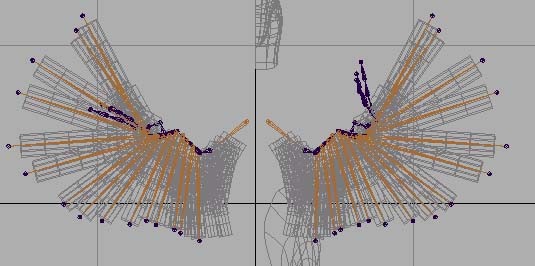 Maya制作鳥類翅膀骨骼設置及動畫