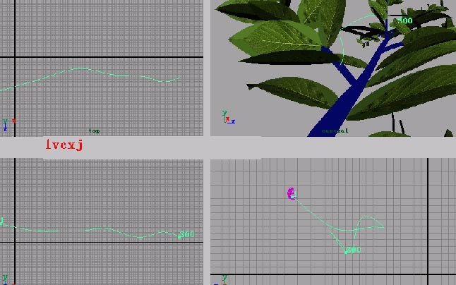 用Maya制作林中穿行的動畫