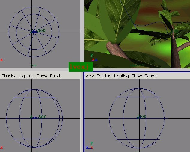 用Maya制作林中穿行的動畫