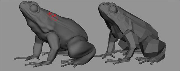 MAYA打造逼真青蛙 三聯網 MAYA角色動畫教程
