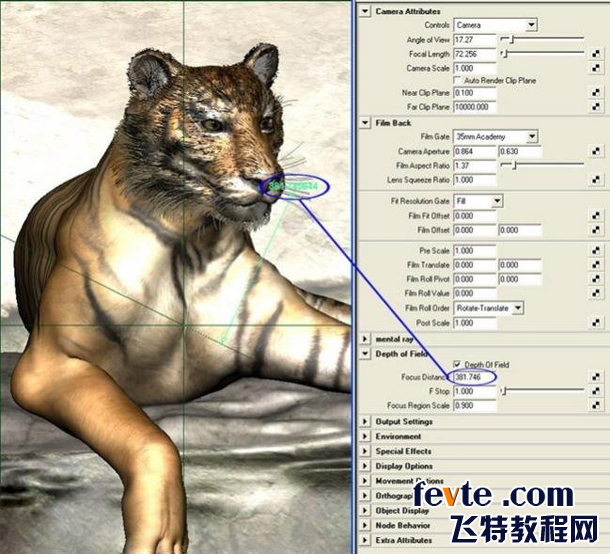 MAYA制作一只逼真的老虎 飛特網 MAYA教程