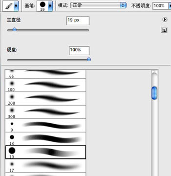 PS結合數位板鼠繪漂亮的羽毛公主