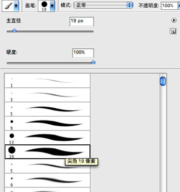 PS結合數位板鼠繪漂亮的羽毛公主