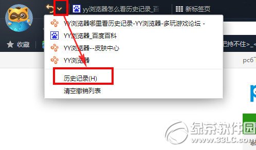 yy浏覽器怎麼看歷史記錄？yy浏覽器查看歷史記錄教程1