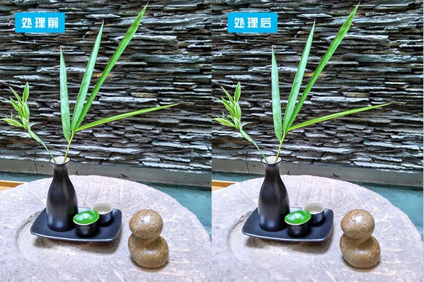 Photoshop怎麼消除噪點  ps噪點怎麼處理