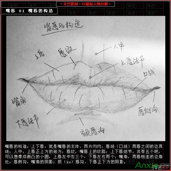 PS如何鼠繪人物嘴唇圖片 三聯