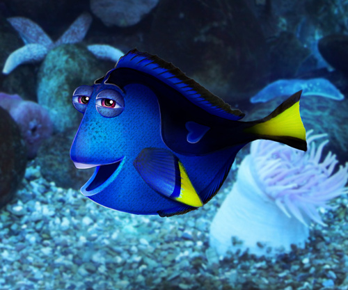 Photoshop合成可愛健忘的Dory   三聯