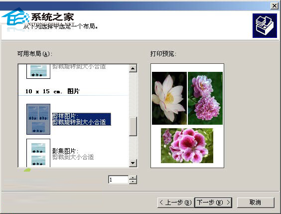  WinXP如何在一張紙上打印多幅圖片