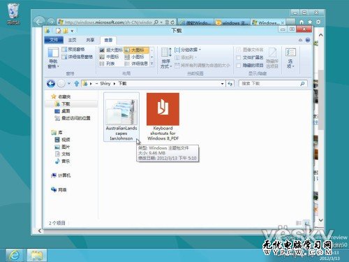 Windows 8消費者預覽版中自帶有少量主題，主題壁紙中有大家熟悉的Windows卡通魚、自然植物主題等（1920×1200像素），還有專為雙屏幕用戶提供的3840×1200像素超寬壁紙。