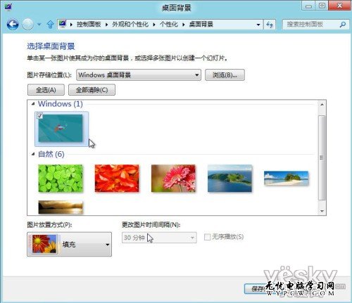 Windows 8消費者預覽版中自帶有少量主題，主題壁紙中有大家熟悉的Windows卡通魚、自然植物主題等（1920×1200像素），還有專為雙屏幕用戶提供的3840×1200像素超寬壁紙。