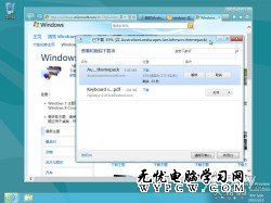 Windows 8消費者預覽版中自帶有少量主題，主題壁紙中有大家熟悉的Windows卡通魚、自然植物主題等（1920×1200像素），還有專為雙屏幕用戶提供的3840×1200像素超寬壁紙。
