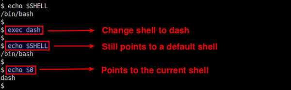 如何查閱Linux系統正在使用的Shell版本？